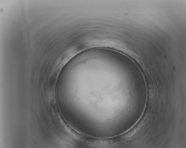 X0000062891521200601171500