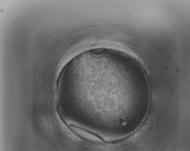 X0000062891522200601171500