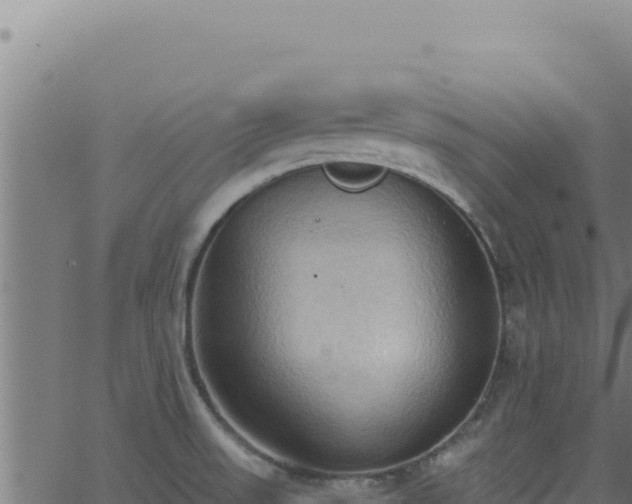 X0000062891523200601171500