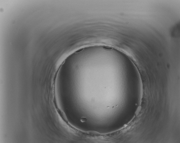 X0000062891524200601171500