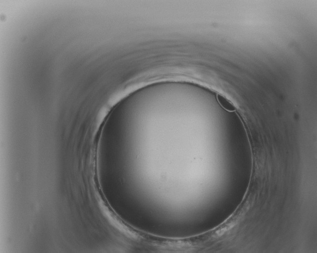 X0000062891526200601171500