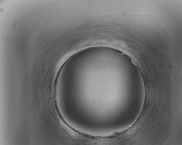 X0000062891527200601171500