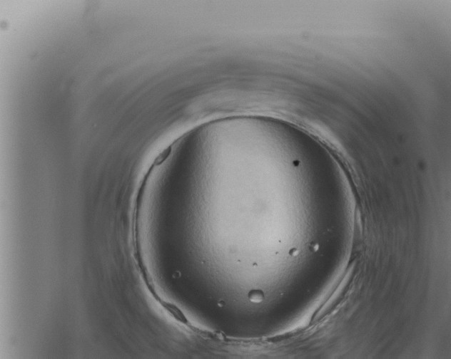 X0000062891528200601171500