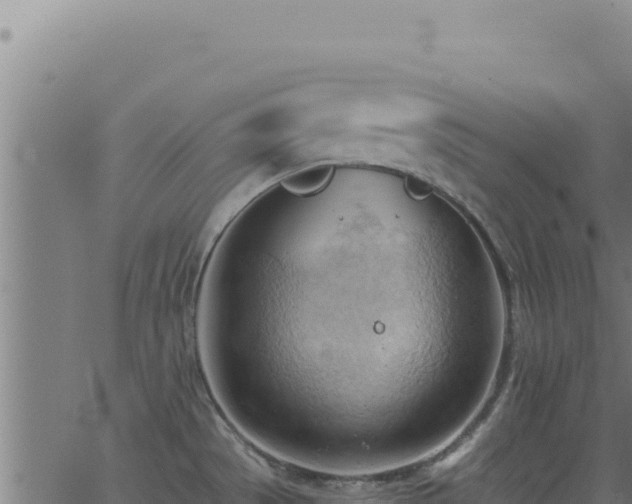 X0000062891529200601171500