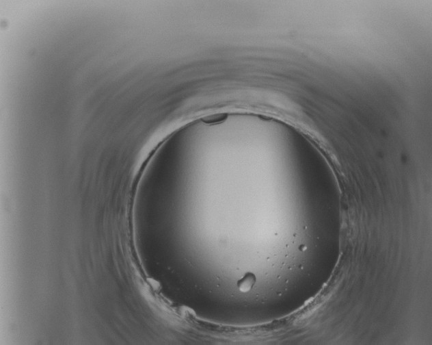 X0000062891530200601171500