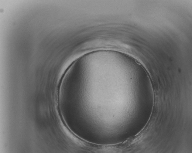 X0000062891531200601171500