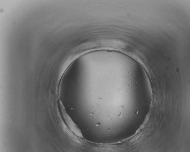 X0000062891532200601171500