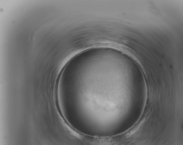 X0000062891533200601171500