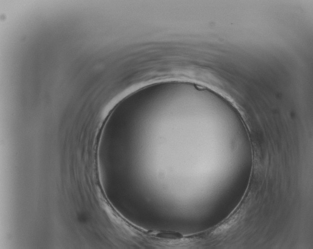 X0000062891534200601171500