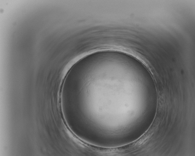 X0000062891535200601171500