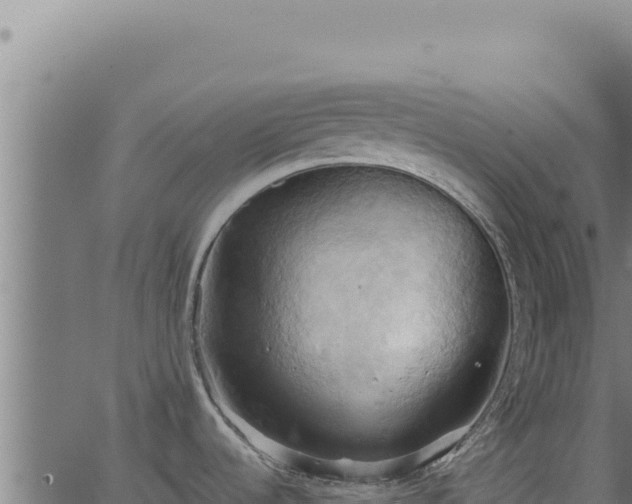 X0000062891536200601171500