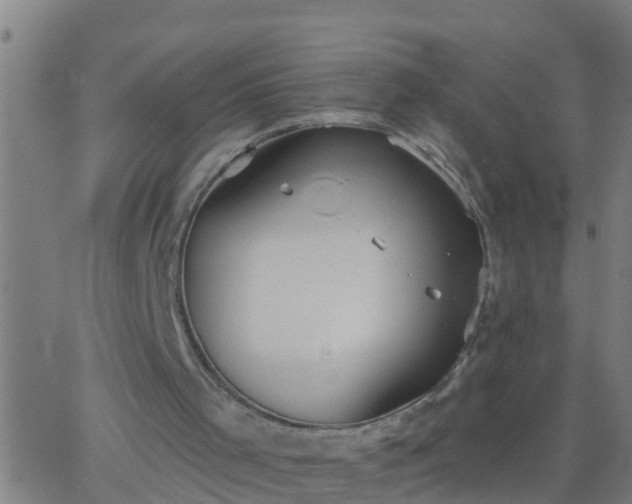 X0000062890001200601201857