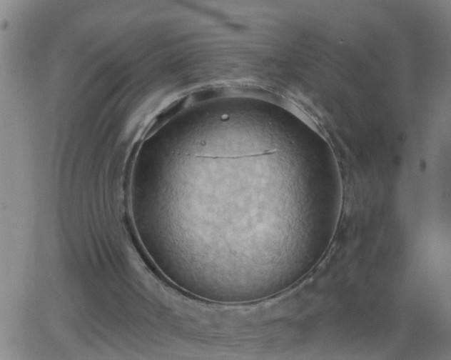 X0000062890002200601201857