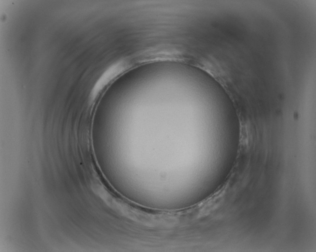 X0000062890004200601201857