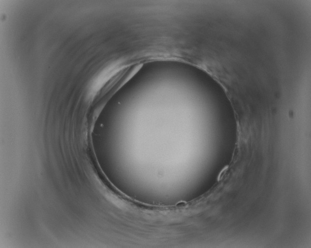 X0000062890005200601201857