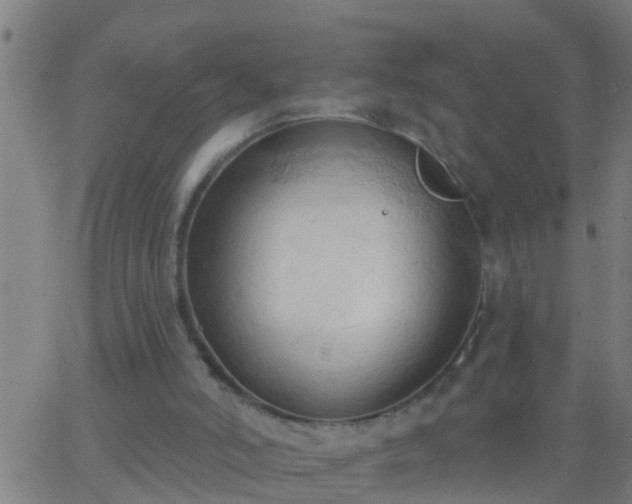 X0000062890006200601201857