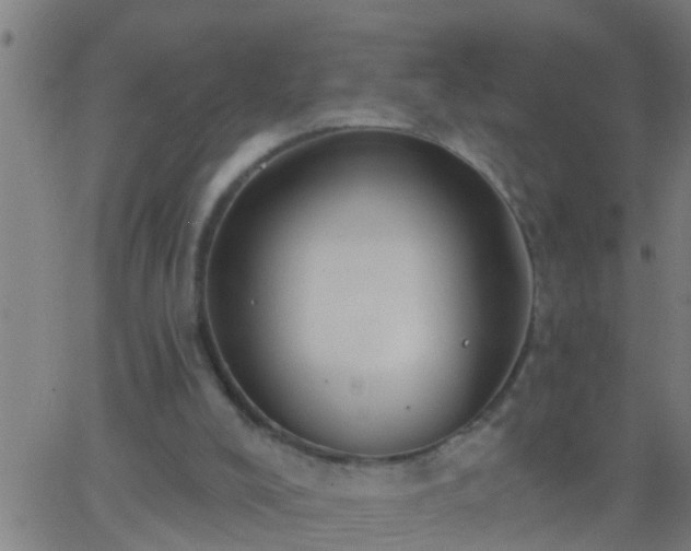 X0000062890008200601201857