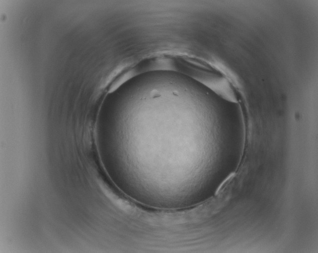 X0000062890009200601201857