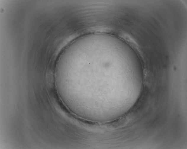 X0000062890012200601201857