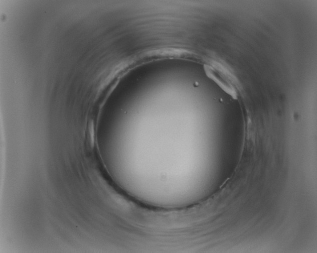 X0000062890013200601201857