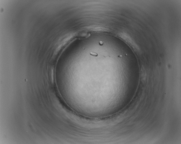 X0000062890014200601201857