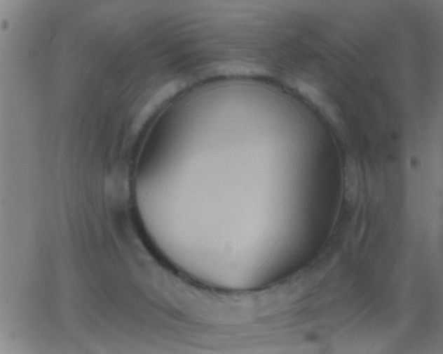 X0000062890015200601201857