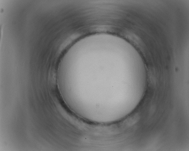 X0000062890016200601201857