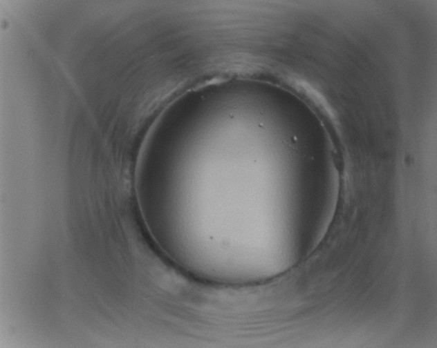 X0000062890017200601201857