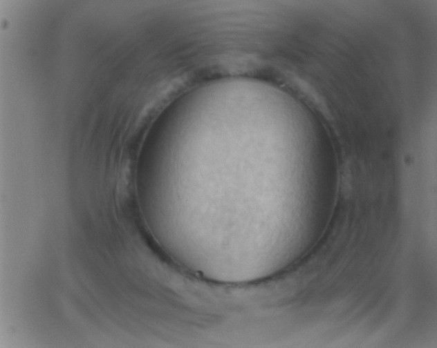 X0000062890018200601201857