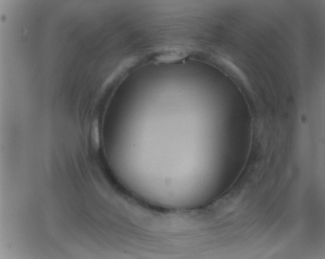 X0000062890020200601201857