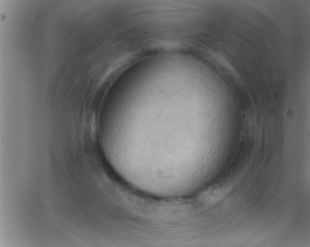 X0000062890024200601201857