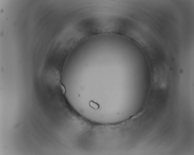 X0000062890025200601201857