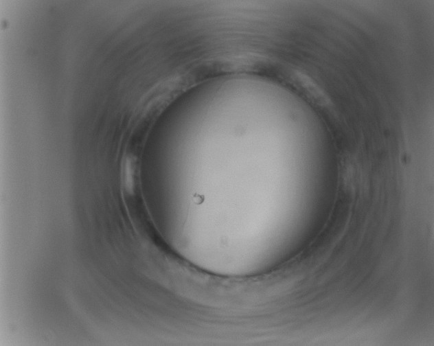 X0000062890026200601201857