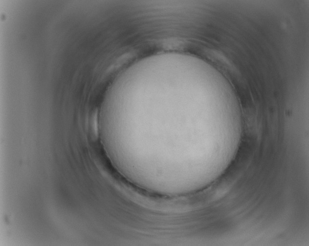 X0000062890028200601201857