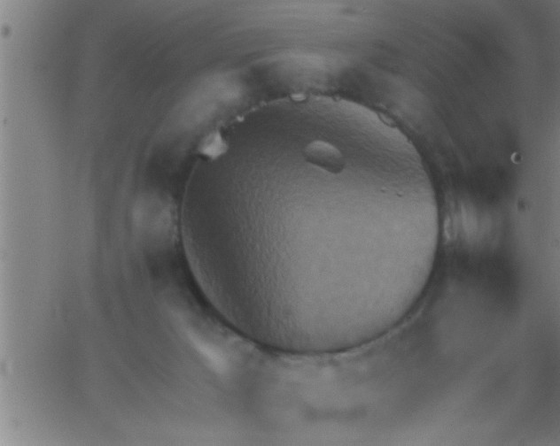 X0000062890029200601201857