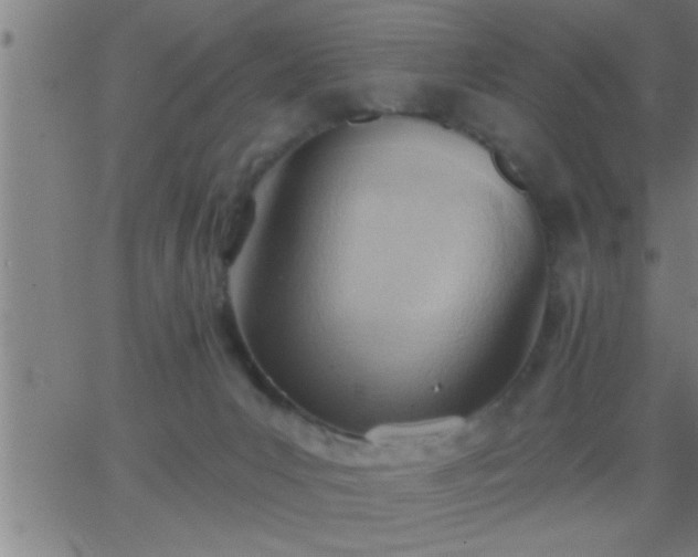 X0000062890031200601201857