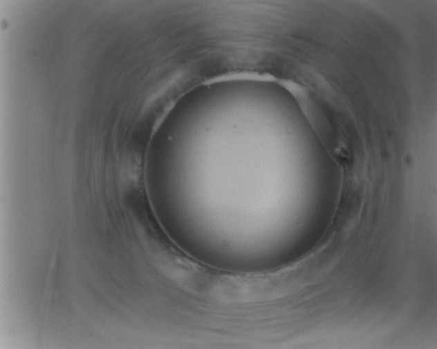 X0000062890033200601201857