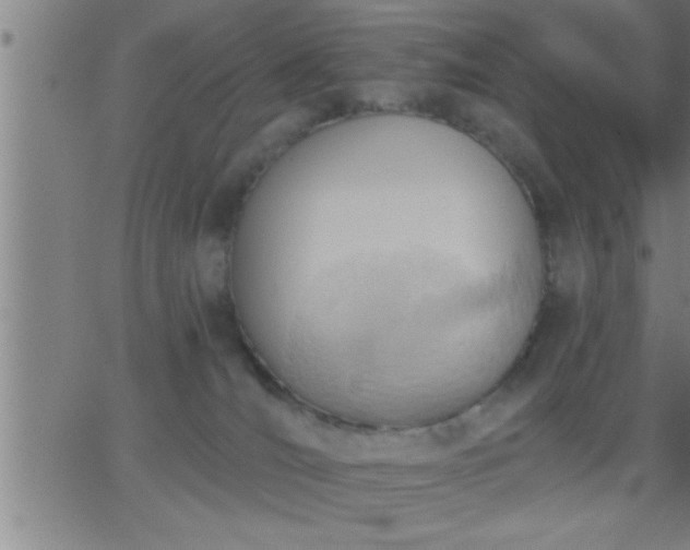 X0000062890036200601201857