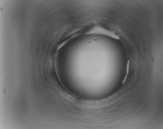 X0000062890037200601201857