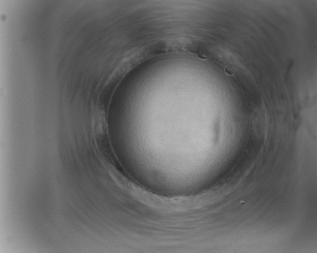 X0000062890038200601201857