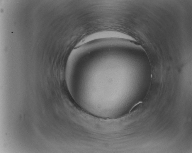 X0000062890039200601201857