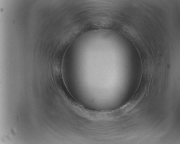 X0000062890040200601201857