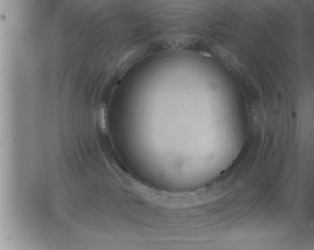 X0000062890042200601201857