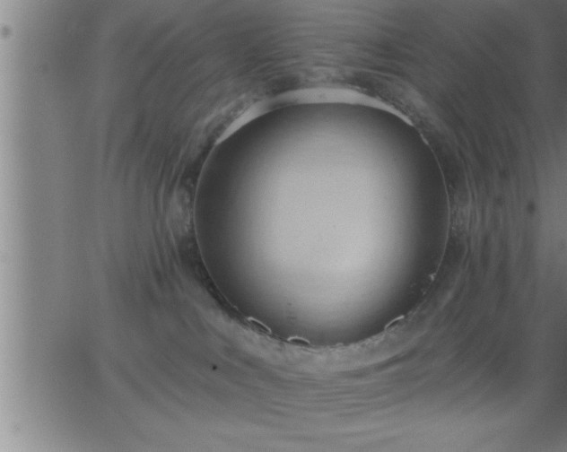 X0000062890043200601201857