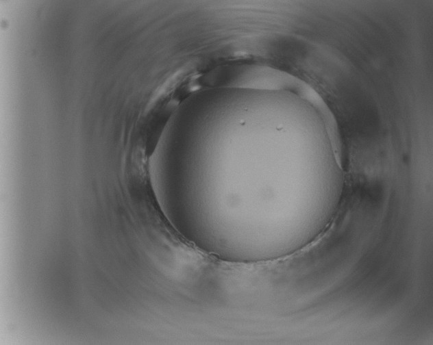 X0000062890045200601201857