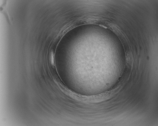 X0000062890046200601201857