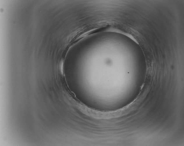 X0000062890047200601201857