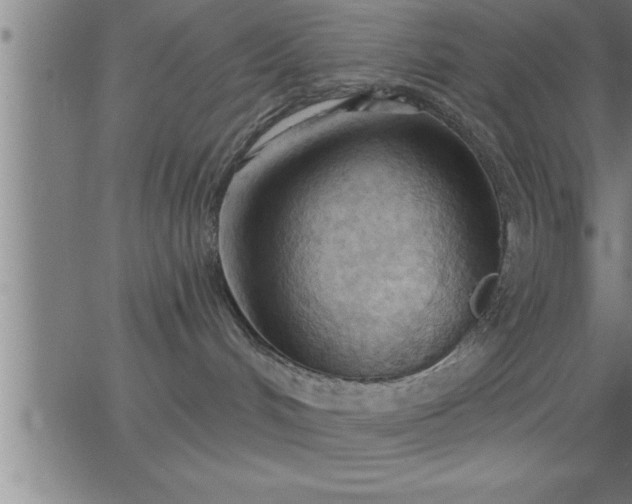 X0000062890048200601201857