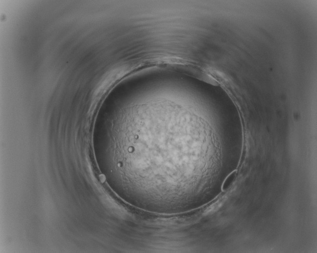 X0000062890049200601201856