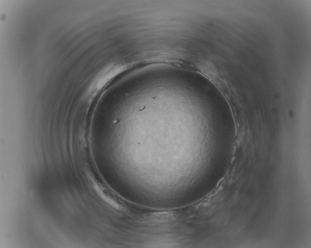 X0000062890050200601201856